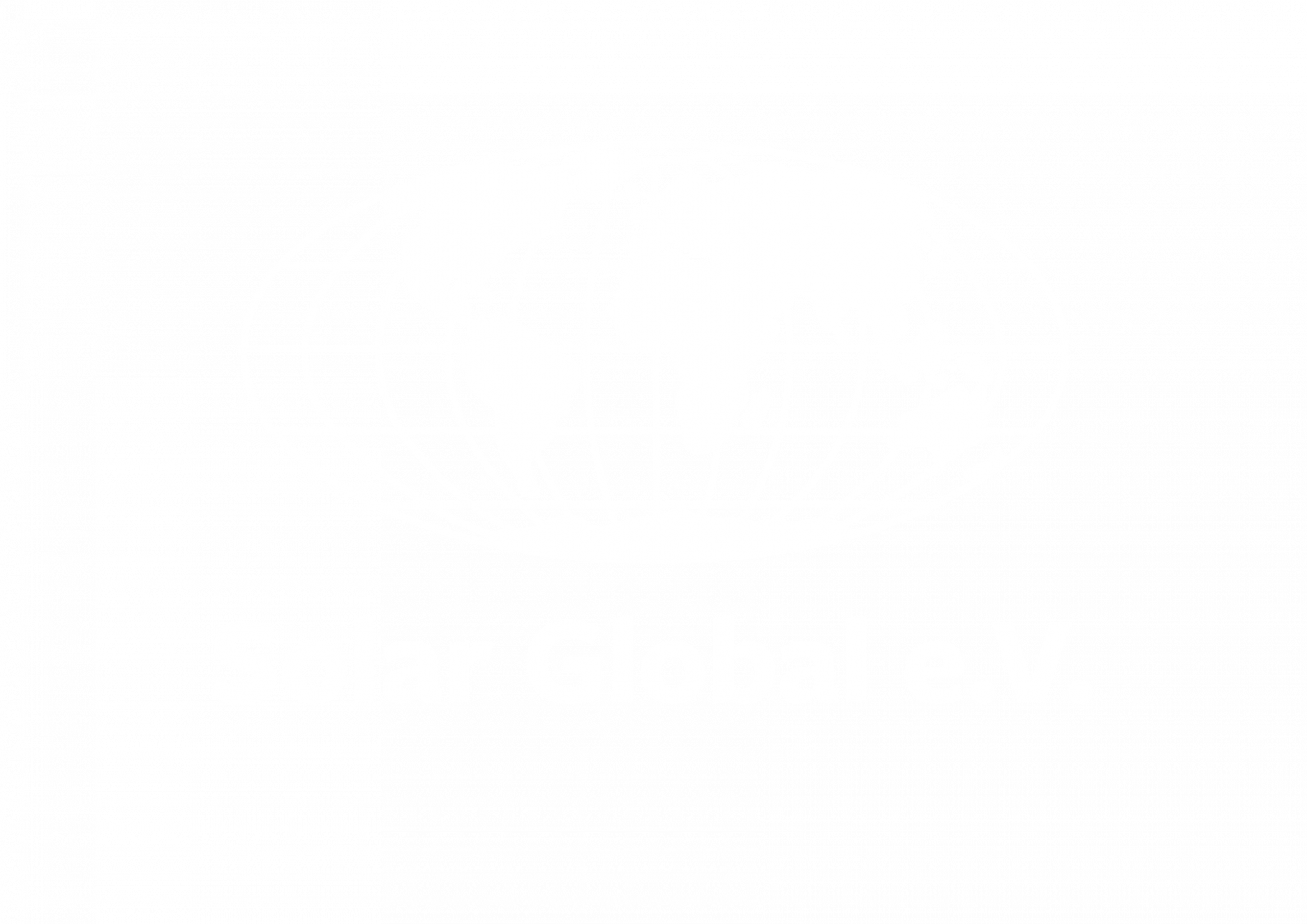 Solar Global e.V.