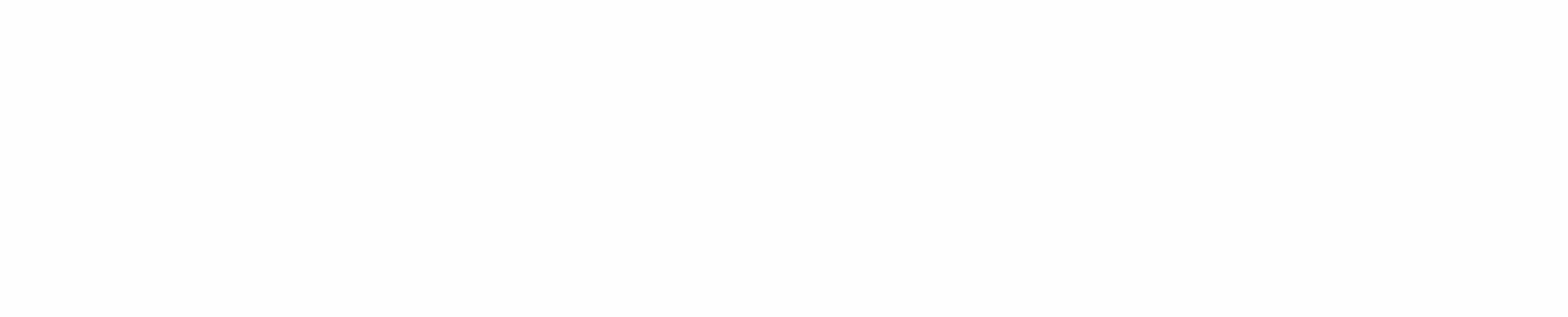 Solar Global e.V.